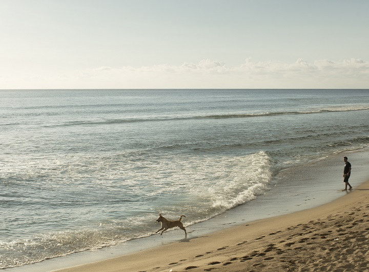 plage des Roches Noires