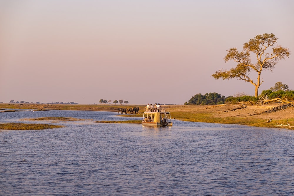 Delta de l'Okavango