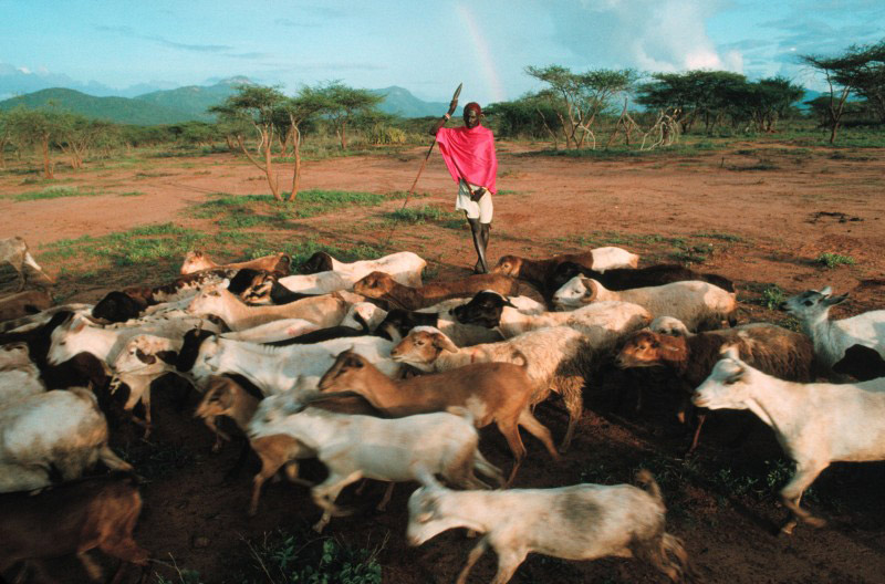 Parc de Samburu