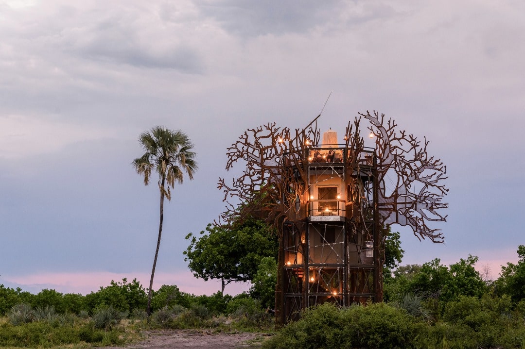 The baobab treehouse au Botswana