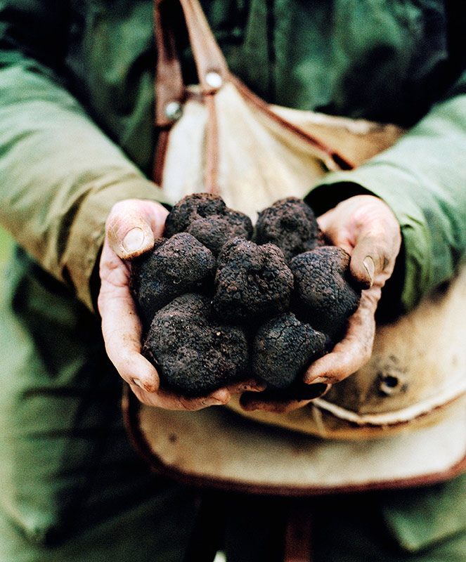 Truffes