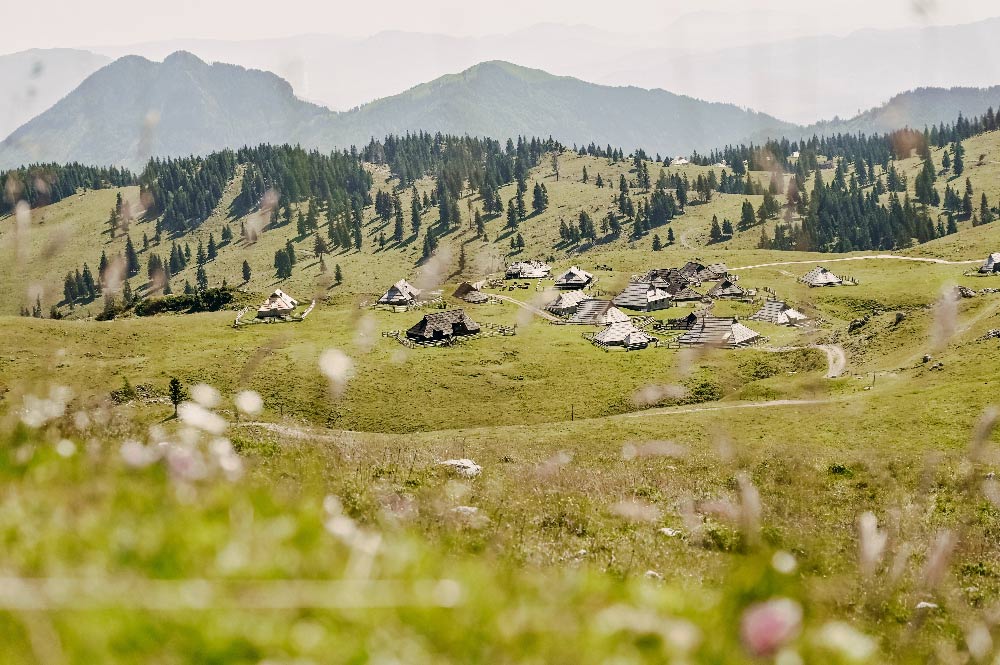 Maisons à Velika Planina