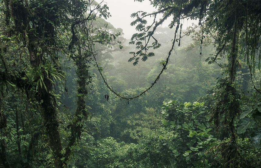 Le safari : moins spectaculaire, plus sensible