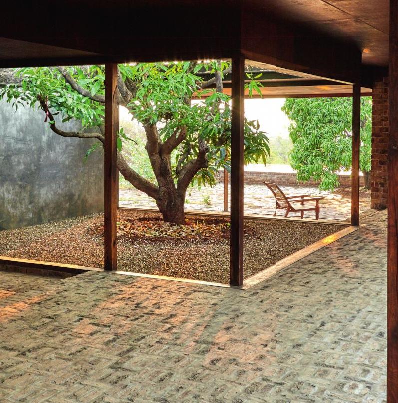 Dans la grâce du tumulte