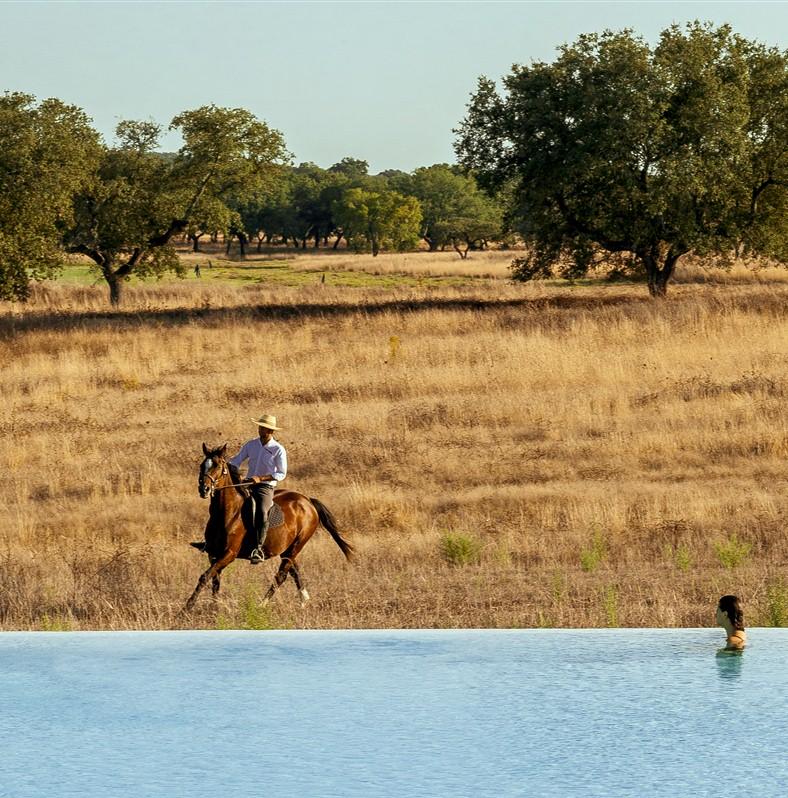 Ces voyages qui ont impressionné nos clients