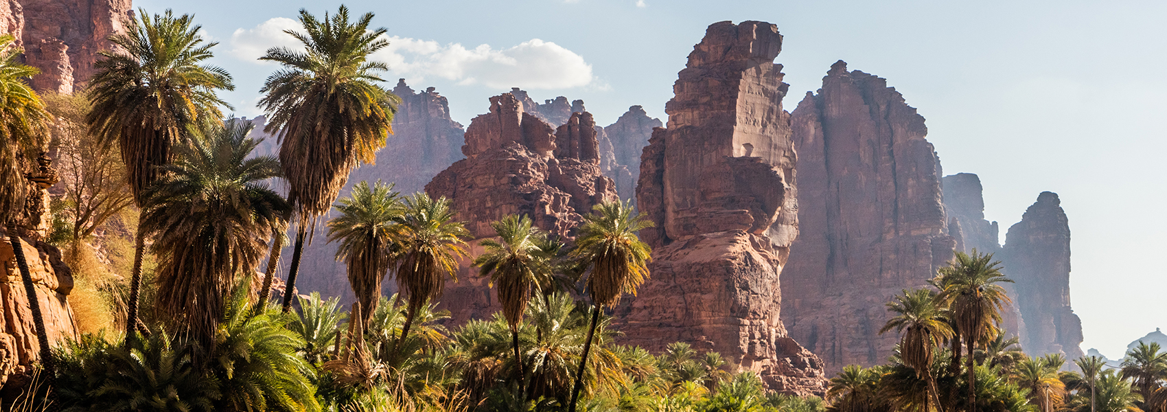 Arabie saoudite : l’appel des wadis, entre roche et mirage