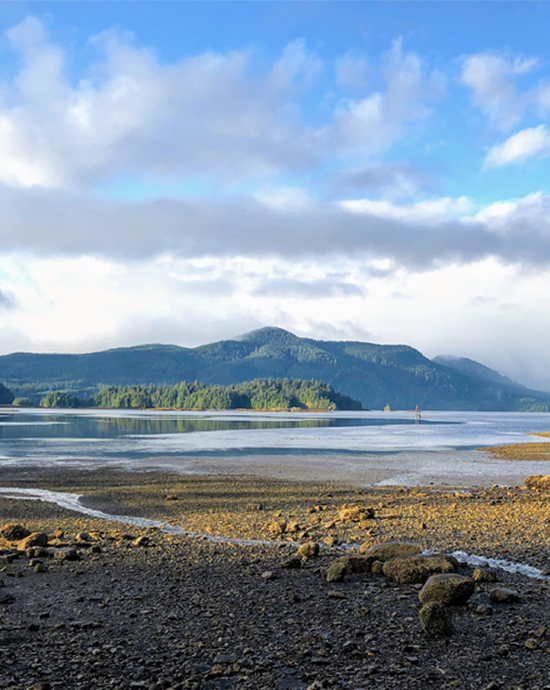 Mystérieuses Haïda Gwaii