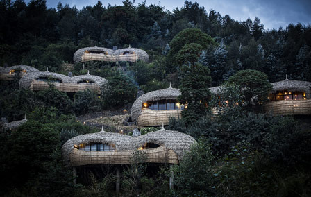 Bisate Lodge : cocons perchés et paradis vert au Rwanda