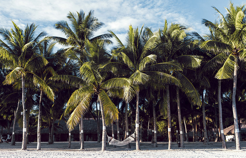 Les Philippines d’île en île