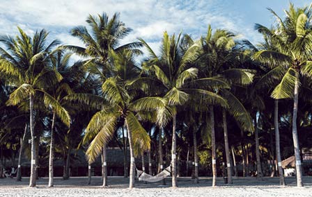 Les Philippines d’île en île