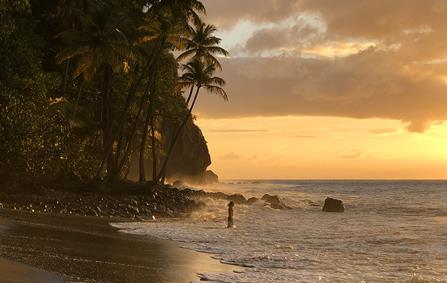 Martinique, l'île aux fleurs