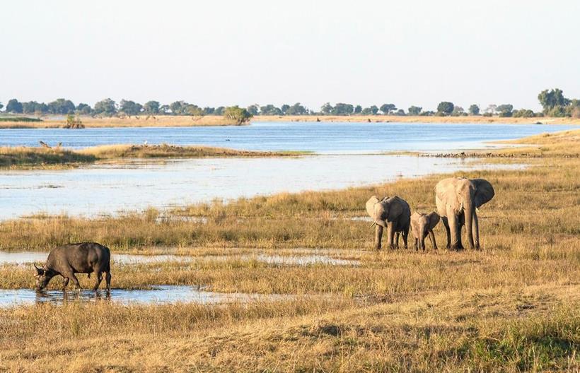 A la découverte du Botswana