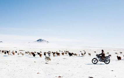 Immersion nomade en Mongolie