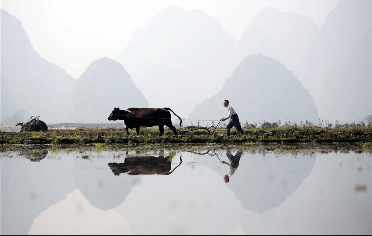 5 expériences à vivre en Chine et nulle part ailleurs