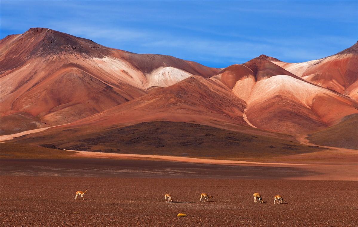 5 expériences a vivre en Bolivie et nulle part ailleurs