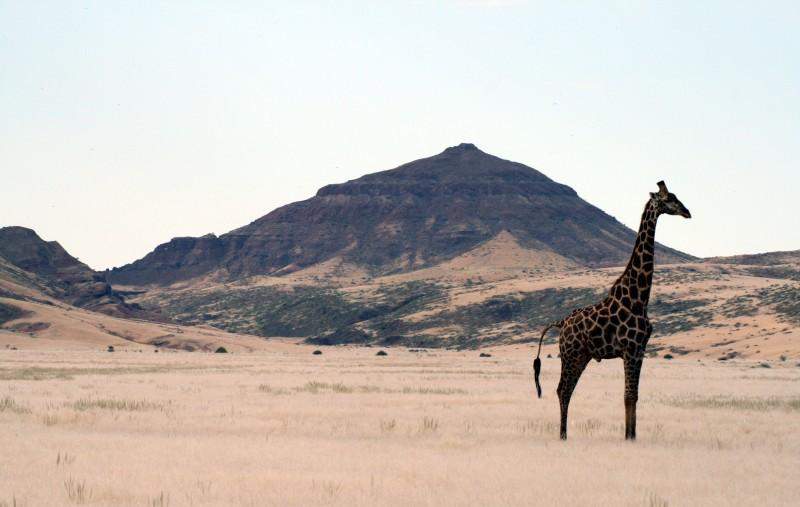 A vivre en Namibie avant qu'il ne soit trop tard