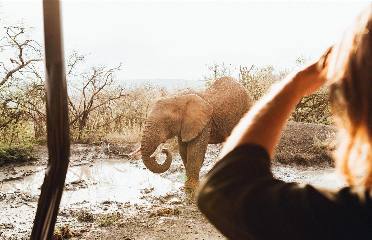 A voir en Afrique du Sud avant qu'il ne soit trop tard