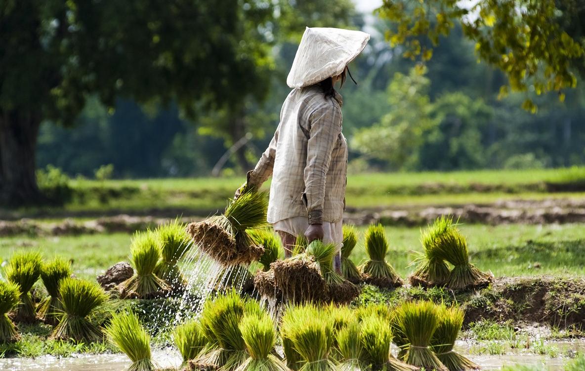 A vivre au Laos et nulle part ailleurs
