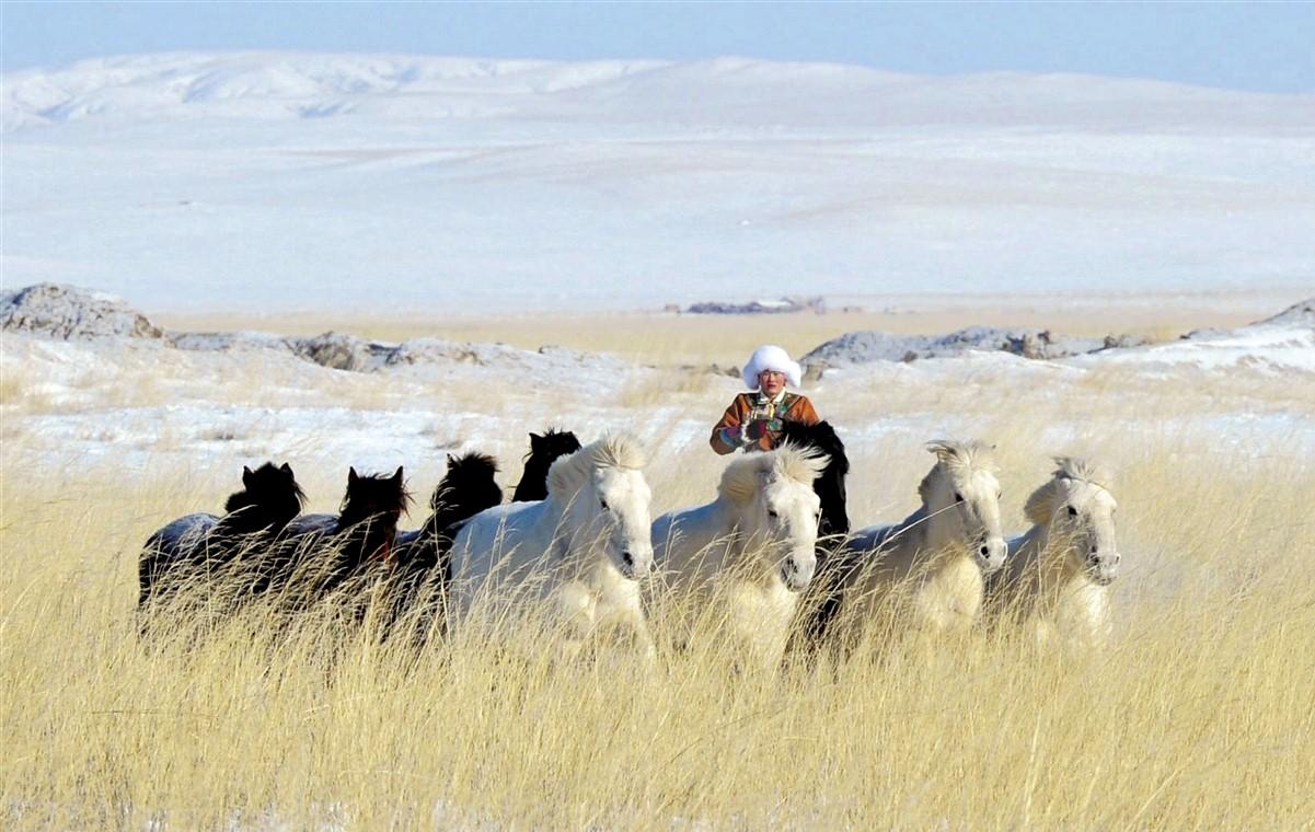 A vivre en Mongolie et nulle part ailleurs
