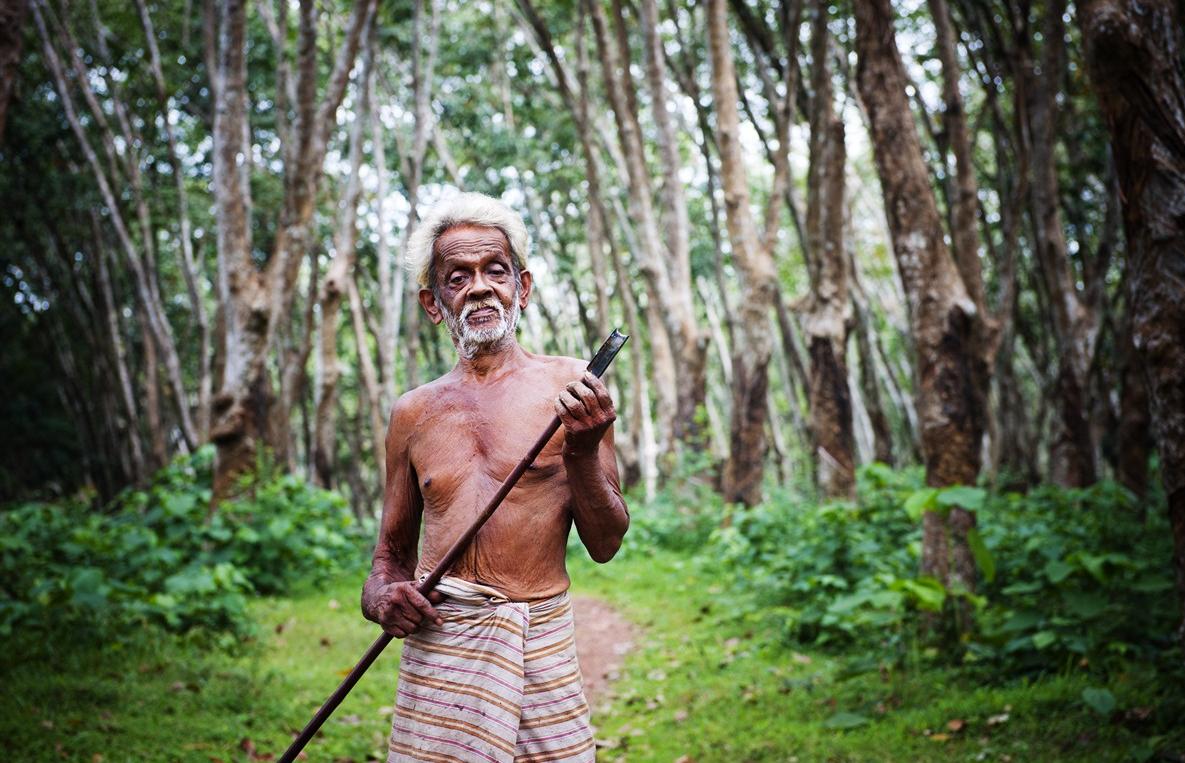 A vivre au Sri Lanka et nulle part ailleurs