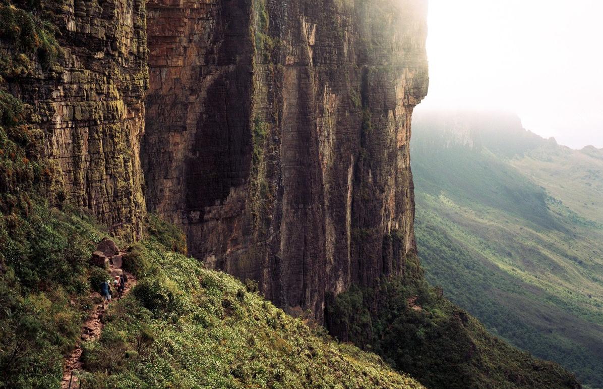 Amérique latine, un continent de natures