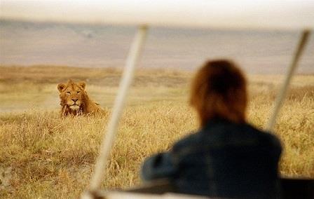 5 livres à lire avant de partir en Tanzanie